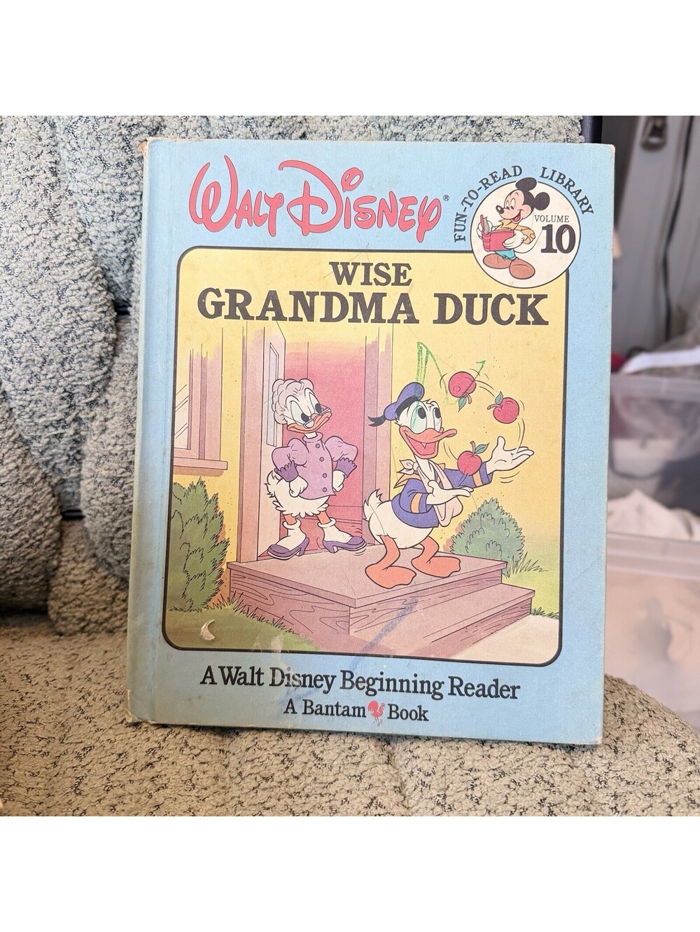 Vintage Walt Disney Wise Grandma Duck Fun-to-Read Library Vol 10 Hardcover